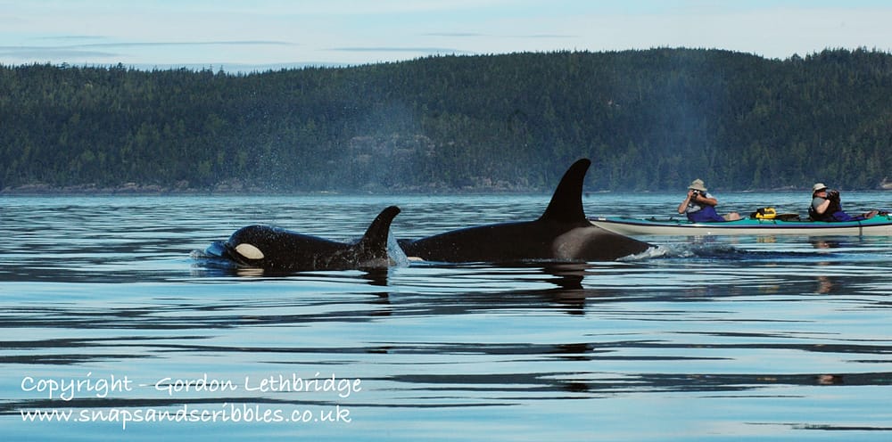 Wildlife Experience 005