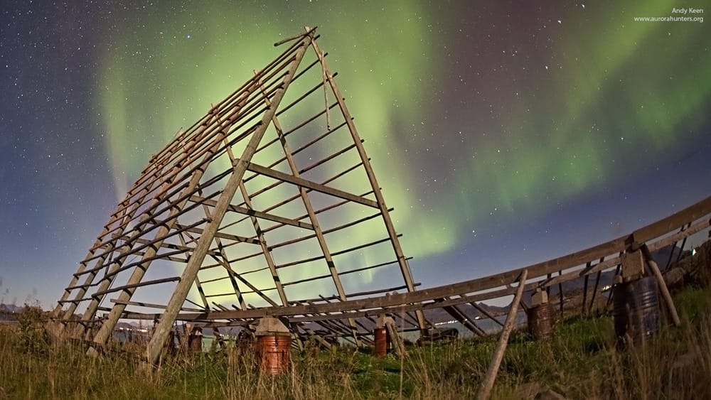 Lofoten Northern Lights