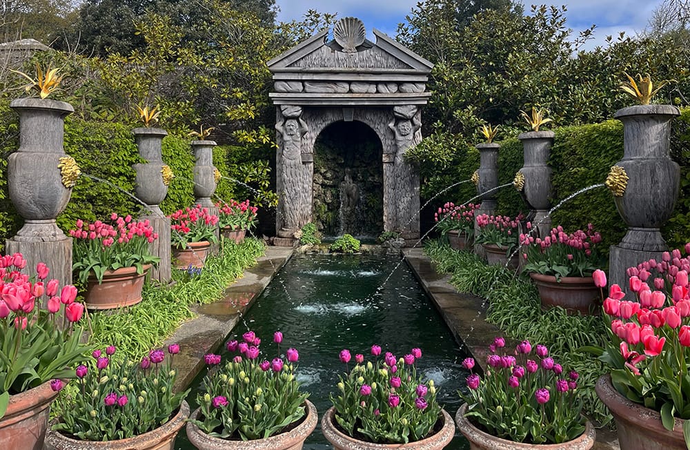 Arundel Castle Tulip Festival garden