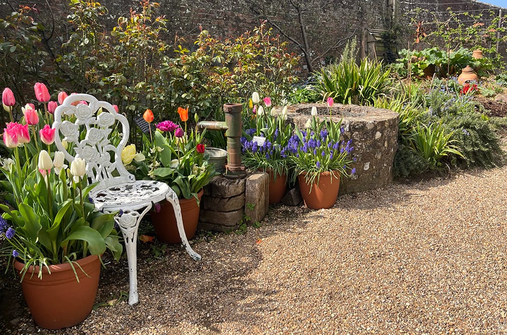 Arundel Castle Tulip Festival garden floral arrangement