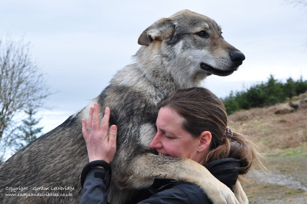 Dee with one of the wolves