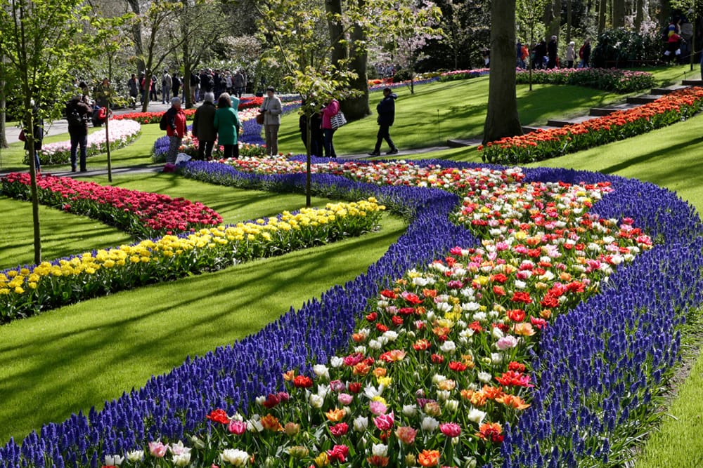 Keukenhof