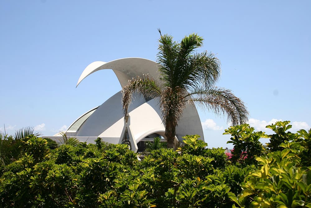 Where in the World answer Santa Cruz Tenerife