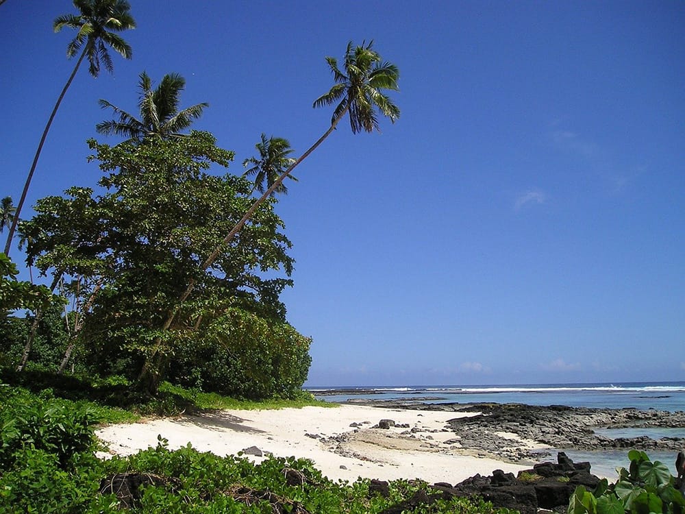 Monica Galetti celebrity chef is from Samoa beach and palm trees