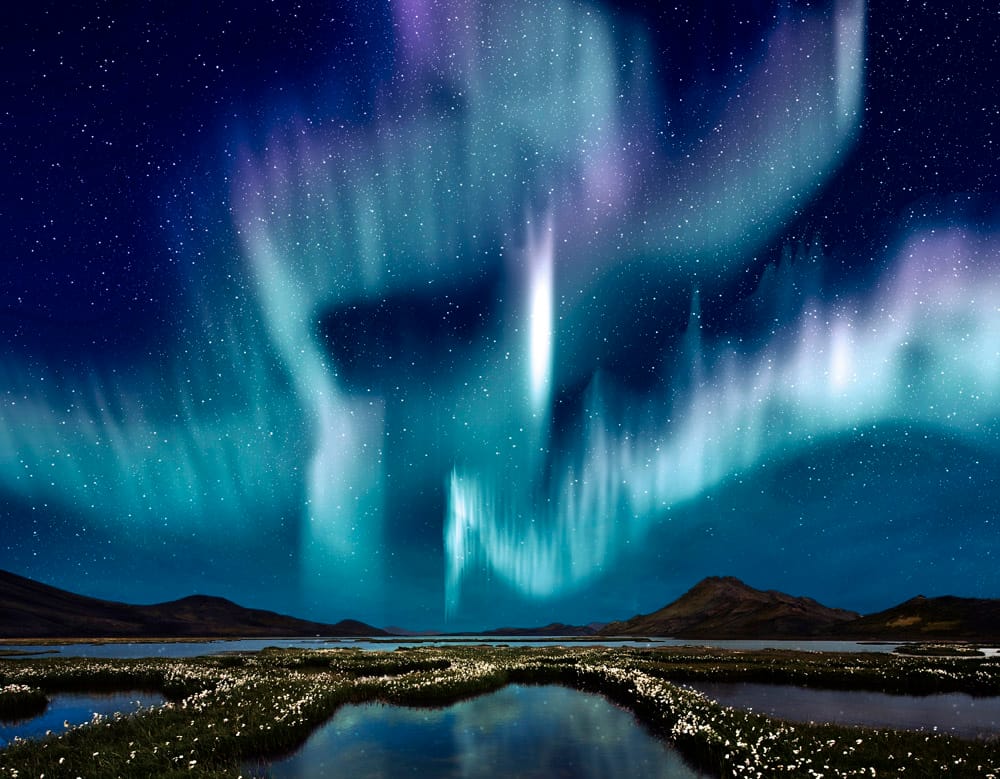 Northern Lights over the marsh landscape with wildflowers, Iceland © Corepics - source: www.depositphotos.com