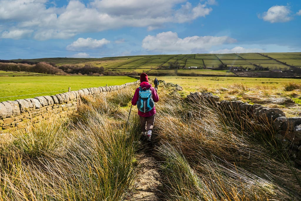 Walk and be Healthy main hiking in country landscape