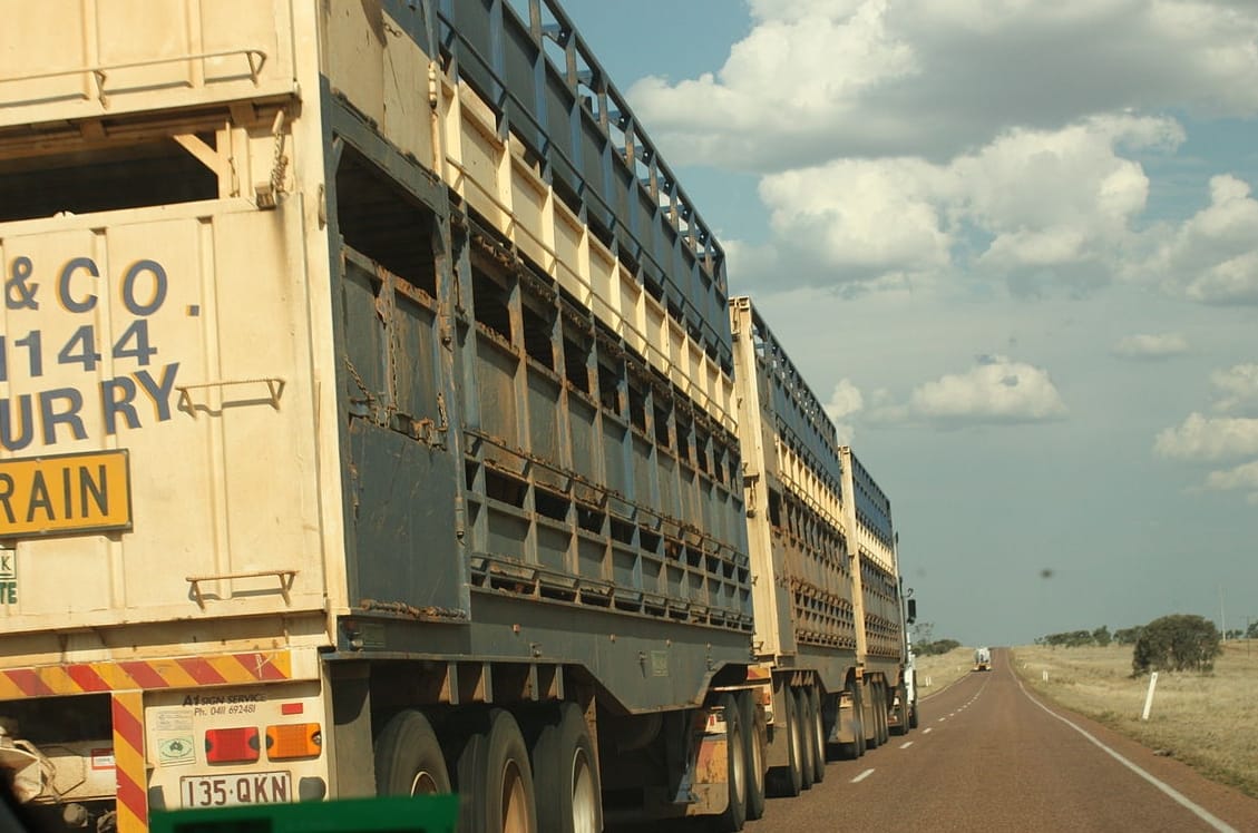 road train