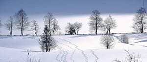 Where in the World 644 featured image footprints in snowy landscape