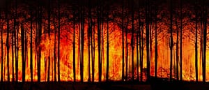 Climate Change Travel plans wildfire treesburning