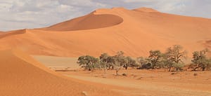 Extreme Travel - the desert