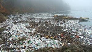 plastic pollution